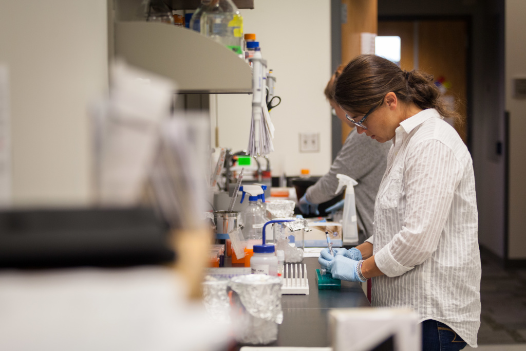 student working in the lab