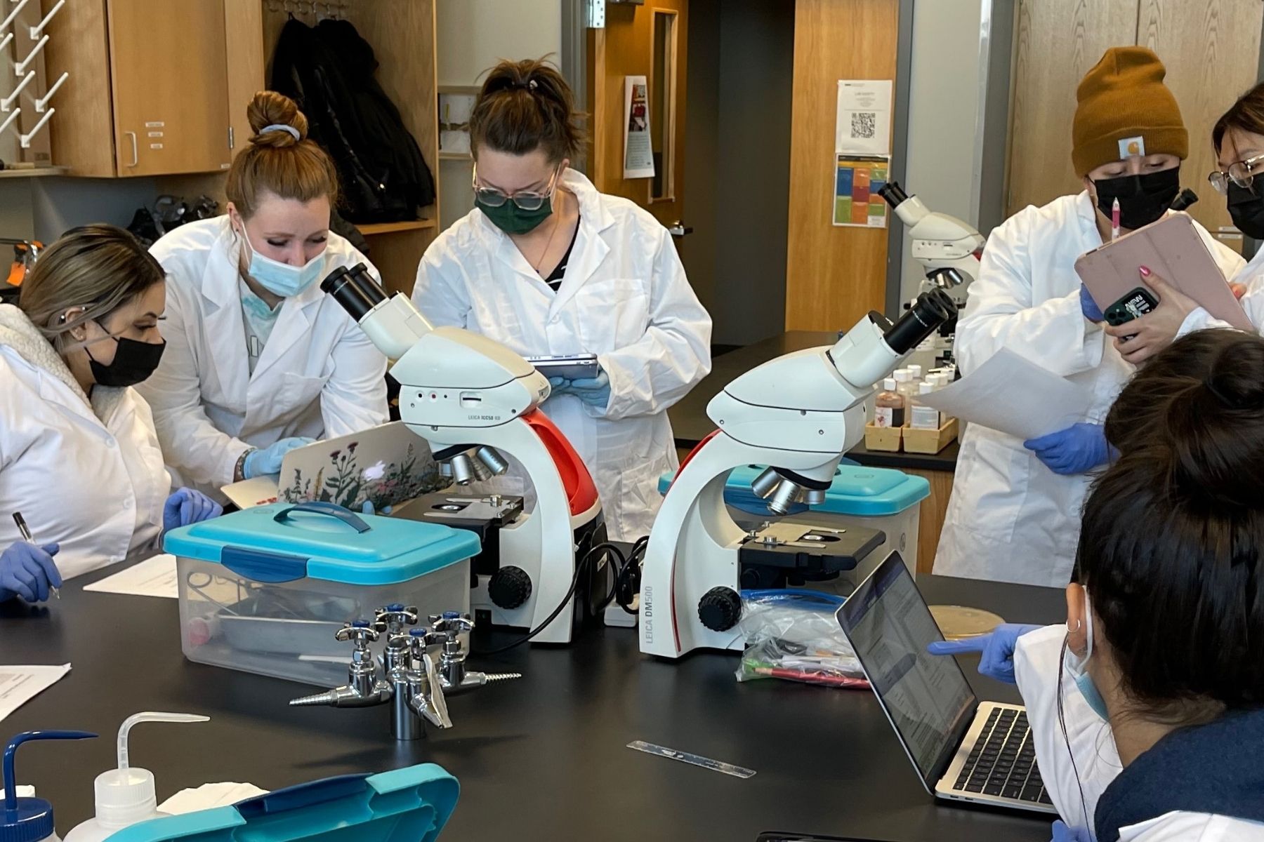 students working together in a lab